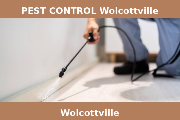 PEST CONTROL Wolcottville